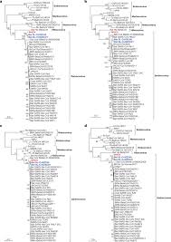 These charts show the number of people tested with antibody tests, the number of people who tested reporting lag : A New Coronavirus Associated With Human Respiratory Disease In China Nature