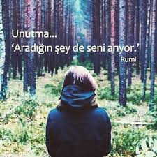 Unutma Aradigin Sey De Seni Ariyor Rumi Ozlu Sozler