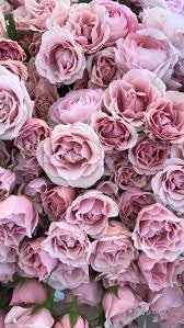 Be prepared to know how much your gold is worth. Fancy Rose Gold N Pink
