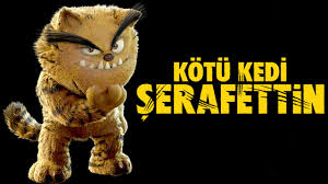 Kotu Kedi Serafettin Kos Serokos Youtube