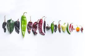 Chile peppers have received a bad reputation for causing damage to the lining of the stomach. Guide To Chili Peppers At Mexican Markets In Tucson
