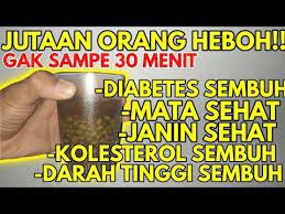 Bikin Terkejut Dengan Makan Ini Kolesterol Diabetes Darah Tinggi Sembuh Total Sehat Tanpa Obat Youtube Diabetes Obat Alami Kesehatan Pria