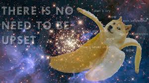 Download wallpaper in (800x600) download (800x600) wallpaper. 48 Doge Space Wallpaper On Wallpapersafari