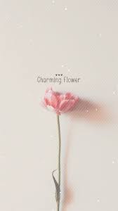 Pure Charming Flower Simple Pattern Iphone 6 Wallpaper Download Iphone Wallpapers Ipad Wallpape Flower Iphone Wallpaper Flower Wallpaper Iphone 5s Wallpaper