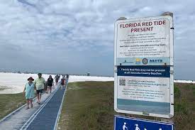 Ecosystem assessment & restoration section: Desantis Has A Dead Fish Problem