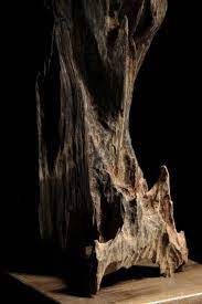 越南 野生熟結 奇楠沉香 vietnam qi nan aquilaria 63g kinam agarwood chenxiang 沉水 越南 奇楠 contemporary sculpture wood tree got wood