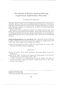 Image result for Dolichos kilimandscharicus