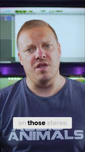 Can I Use Audio Equipment In The Mix And In The Master