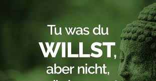 Wer Kämpft Kann Verlieren Wer Nicht Kämpft Hat Schon Verloren Englisch Tu Was Du Willst Aber Nicht Weil Du Musst Buddha Zitat Zitate Spruche Zitate Inspirierende Zitate