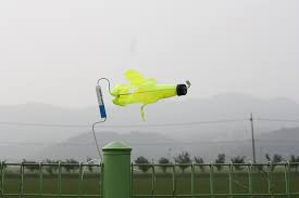 Image result for plašič krtků z pet lahve