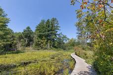 The Perkins Picnic: Celebrating 75 Years of Ipswich River Wildlife Sanctuary