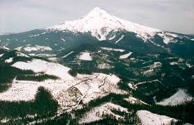 We did not find results for: Timber Sales Bark