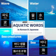 Asia shop online günstig und schnell asiatische lebensmittel online kaufen! Pin By Master 3 Languages On Master 3 Languages Korean Japanese English Korean Words Learn Korean Korean Language