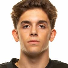 Zach Ladd Stats and Player Profile