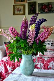 Streetcomber Beautiful Flower Arrangements Lupine Flowers Flower Arrangements