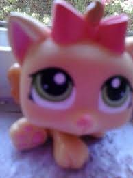 nicole alcaraz adli kullanicinin shirell cool panosundaki pin