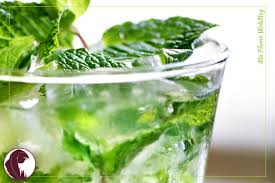 2 cuillerées à soupe de sirop de grenadine (ou de sirop de canne). Le Mojito Cocktail Recettes D Un Succes Ma Plume Webmag