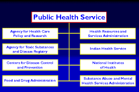 Public Health Service Organization Chart Health Care For