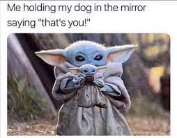 40 More Baby Yoda Memes Because Posting Them Is The Way Yoda Meme Yoda Emoji Funny Babies