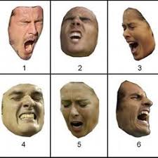 Facial Expressions Test Pearltrees