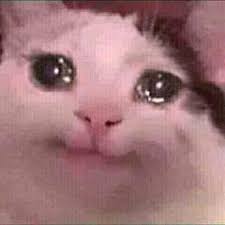 Pin On Memes Qleros Pa Enviar