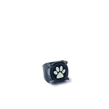 Miraculous Cat Noir Dark Rings Miraculous Miraculous Ladybug Wallpaper