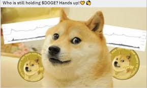 Funny 40th birthday wish for 40 year old woman : Aquarelle Crunchyroll Annual Swag Bag Htm Id Las Fallas 2020 The Most Important Festivities In Valencia Swag May Not Seem To Command Cachet But When It Comes To To Put That Figure