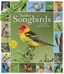 Download Pdf Audubon Songbirds And Other Backyard Birds Pictureaday Wall Calendar 2021 Free Epub Mobi Ebooks In 2020 Backyard Birds Bird Pictures Song Bird