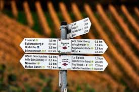We did not find results for: Nachrichten Vom 26 04 2016 Archiv Badische Zeitung