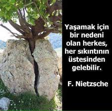 Armisyes Adli Kullanicinin Sozler Panosundaki Pin Instagram Edebiyat Friedrich Nietzsche