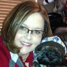 Colorado Springs Startup Week: Directory