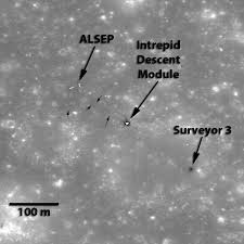 نتیجه جستجوی لغت [discerned] در گوگل