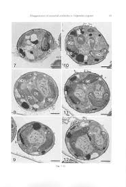 ae9fff222b2a70d71c543cf2c1f29103fdb8a248cae0865574bae21e2556408b