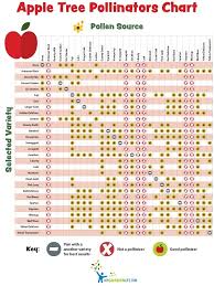 Pollination Chart Fruit Bearing Trees Trees Shrubs Shrubs