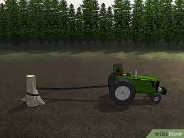 Chip it up where it originally stood. How To Clear Land 12 Steps With Pictures Wikihow