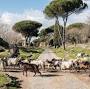 The Appian Way from www.nationalgeographic.com