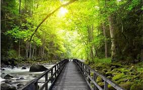 We hope you enjoy our growing collection of hd images to use as a background or home screen for your smartphone or please contact us if you want to publish a pemandangan wallpaper on our site. 28 Foto Pemandangan Hutan Hd Us 8 85 41 Off Beibehang 3d Besar Dinding Mural Wallpaper Hd Yang Indah Jembatan Kay Pemandangan Latar Belakang Wallpaper Pantai