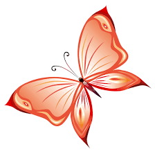 Transparent Red Butterfly Png Clipart Butterfly Clip Art Butterfly Drawing Clip Art