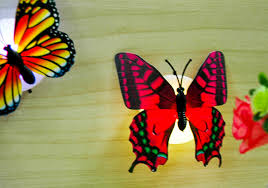 Kết quả hình ảnh cho bướm