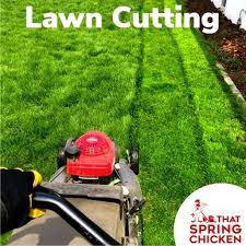 Black And Decker Edge Hog Blade Replacement Tired Of Doing It Or Want It Done The Right Way Call Us Today Call Us 403 383 4183 Or Like Our Facebook Page And Save 20 Spring Chicken Instagram Chicken