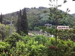 Live online and enjoy the white house and other attractions. View From Front Door Landing Area Picture Of Irene Apartments Agios Gordios Tripadvisor