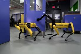 Learn vocabulary, terms and more with flashcards, games and other study tools. Le Robot Chien Spot De Boston Dynamics Est Utilise Par La Police Du Massachusetts