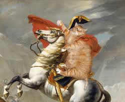 Quizup On Twitter Ginger Cat Art Cat Art Art Parody