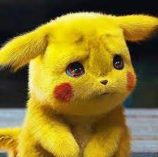 Pikachu Cute Pikachu Pikachu Cat Cute Animals