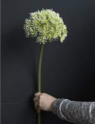 H 68cm Faux Plants Artificial Plants Faux Flowers