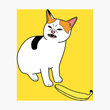 Cat No Banana Meme Poster By Theredcat Redbubble