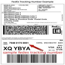 You only need to type the tracking number in the search box on the site. Fedex Tracking Fedex Tracking Number Format Track Fedex Parcel Online Shippingtracking Xyz