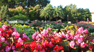 Learn about common debt problems, including filing for bankruptcy. The Greenery Inc Hilton Head Island