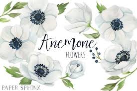 Watercolor Anemone Flowers Clipart White Wedding Flowers White Blue Grey With Leaves Wedding Invitation Clip Art Instant Download White Wedding Flowers Flower Clipart Wedding Invitations Leaves