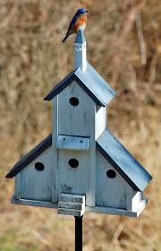 This version of the country home usually has bedrooms clustered together and features the friendly porch or porches. 40 Beautiful Bird House Designs You Will Fall In Love With Bored Art